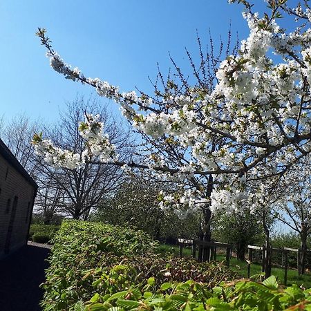 Vakantiehoeve De Klepperij Houthulst Esterno foto