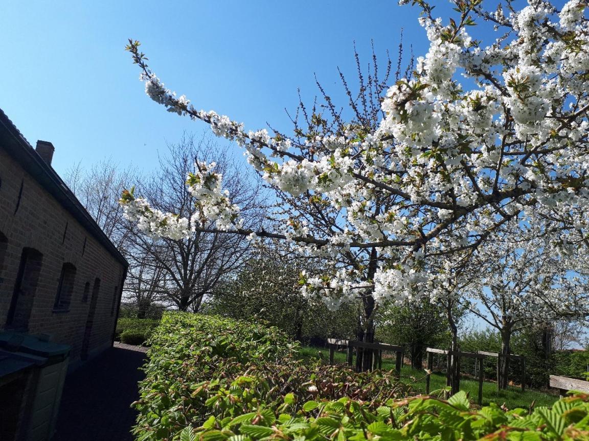 Vakantiehoeve De Klepperij Houthulst Esterno foto
